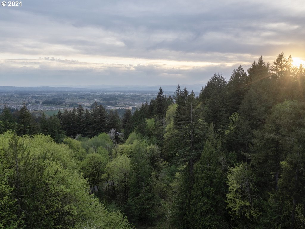 12627 Northwest Germantown Road Portland, OR 97231 - Photo 9 of 31 Gallery Image 9