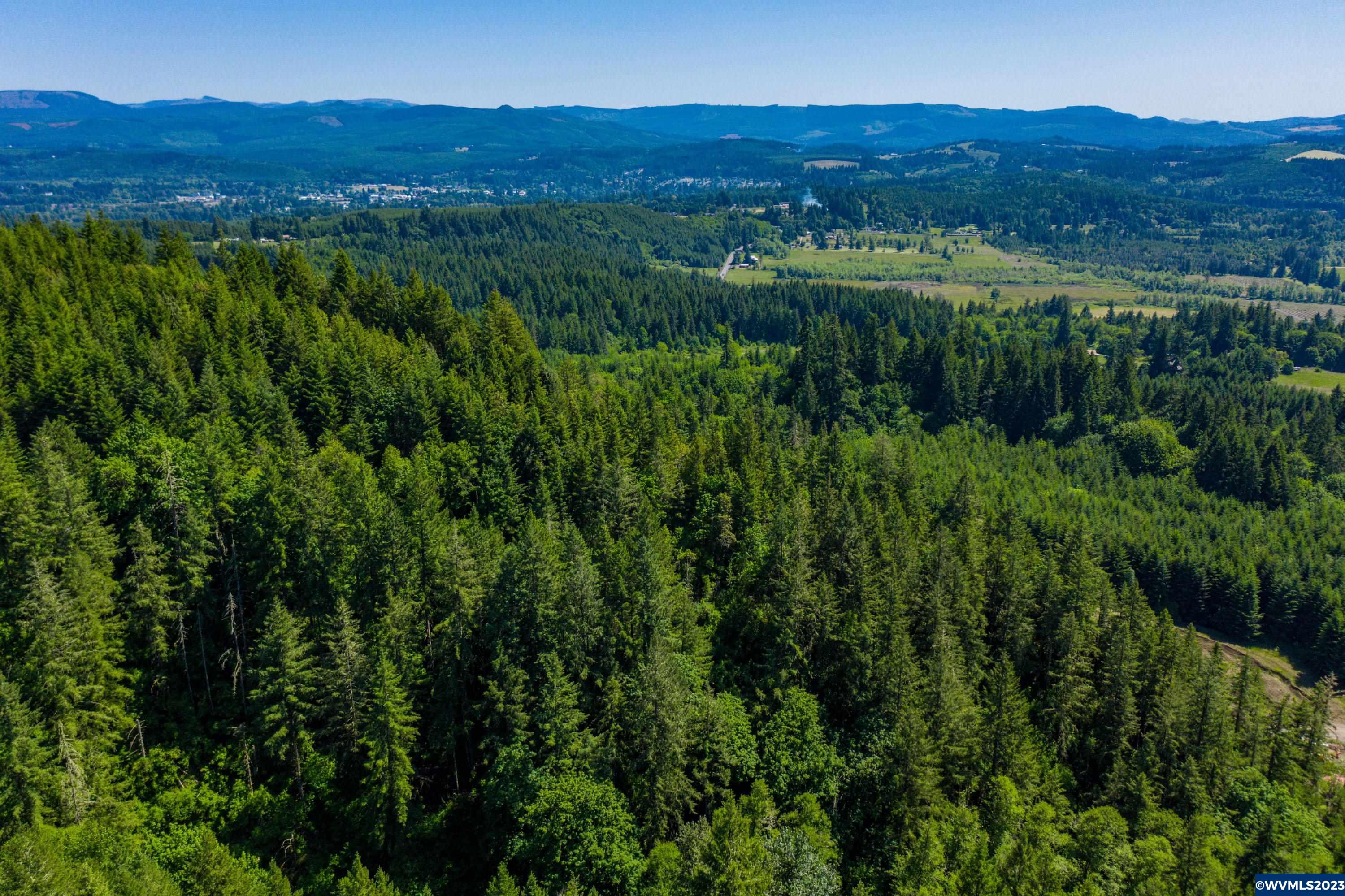 Marks Ridge Sweet Home, OR 97386 - Photo 22 of 32