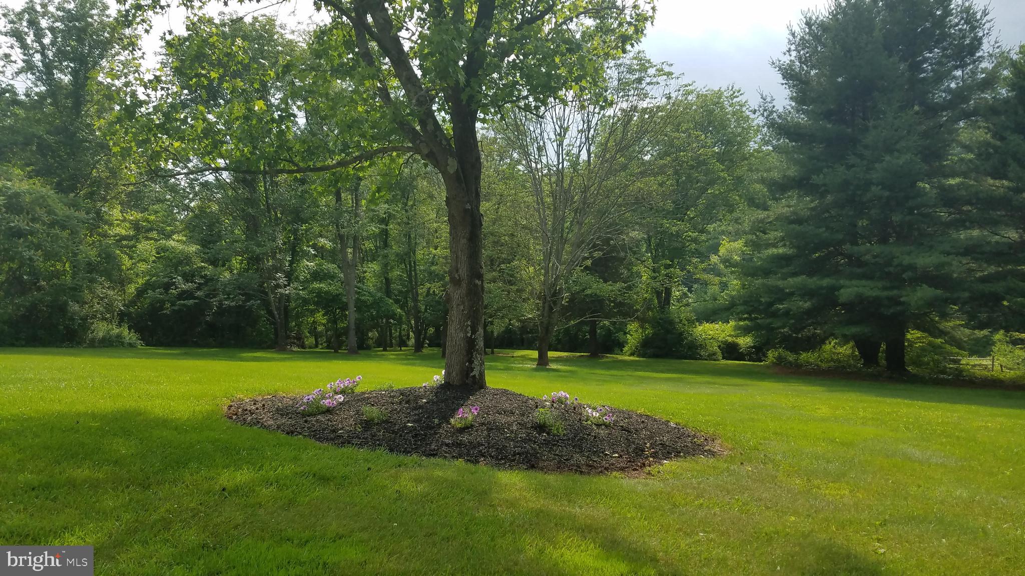 1121 Rohlers Church Road Dover, PA 17315 - Photo 35 of 38