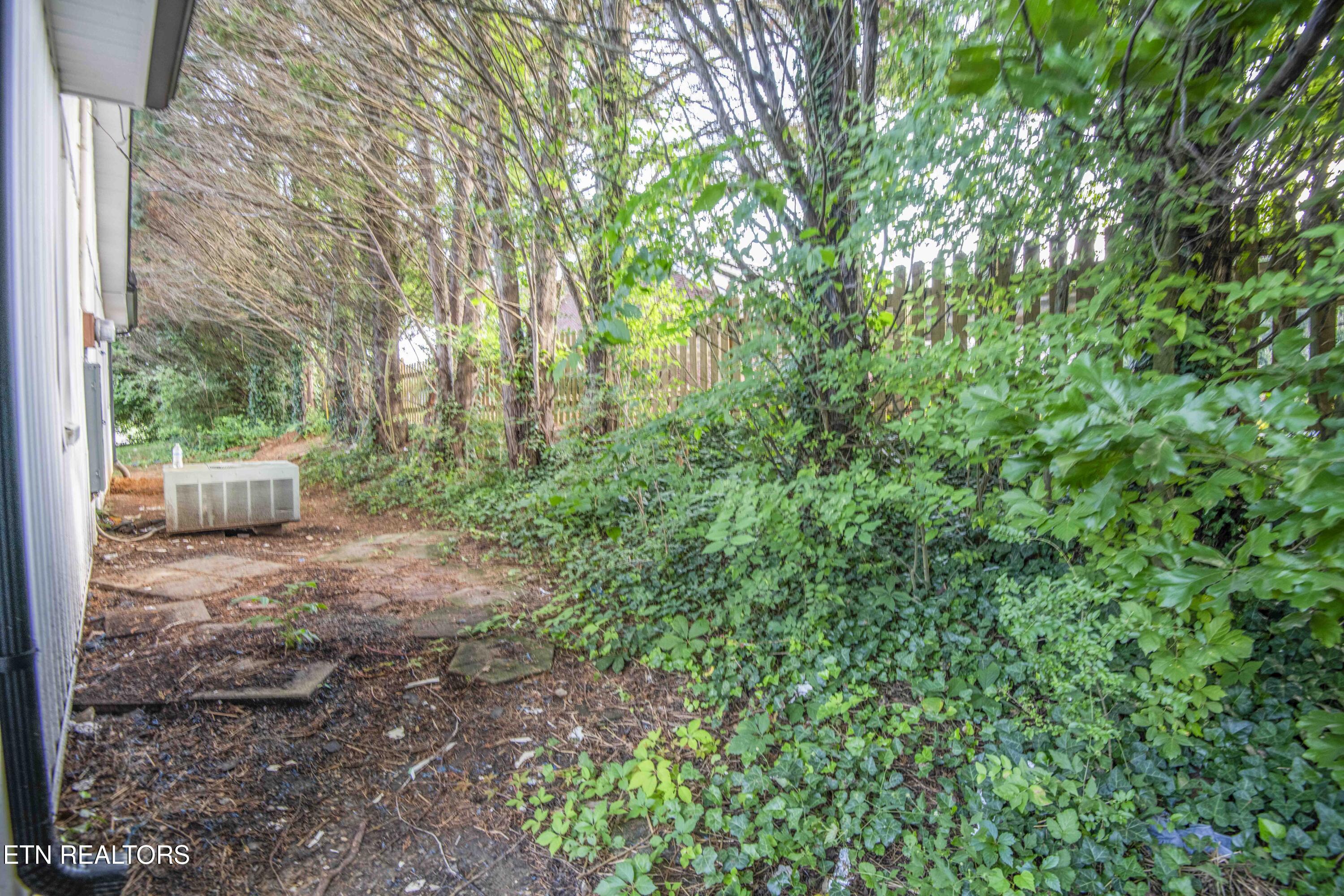 4730 Rochat Road Knoxville, TN 37918 - Photo 24 of 24 Back Yard