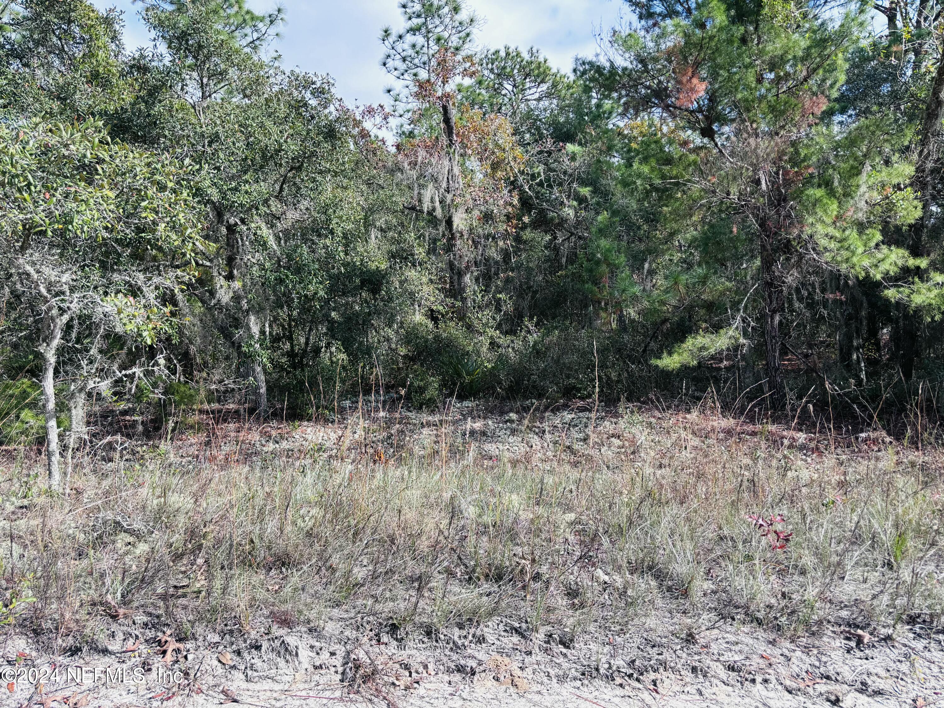 418 Rustic Road Satsuma, FL 32189 - Photo 8 of 13 Front view