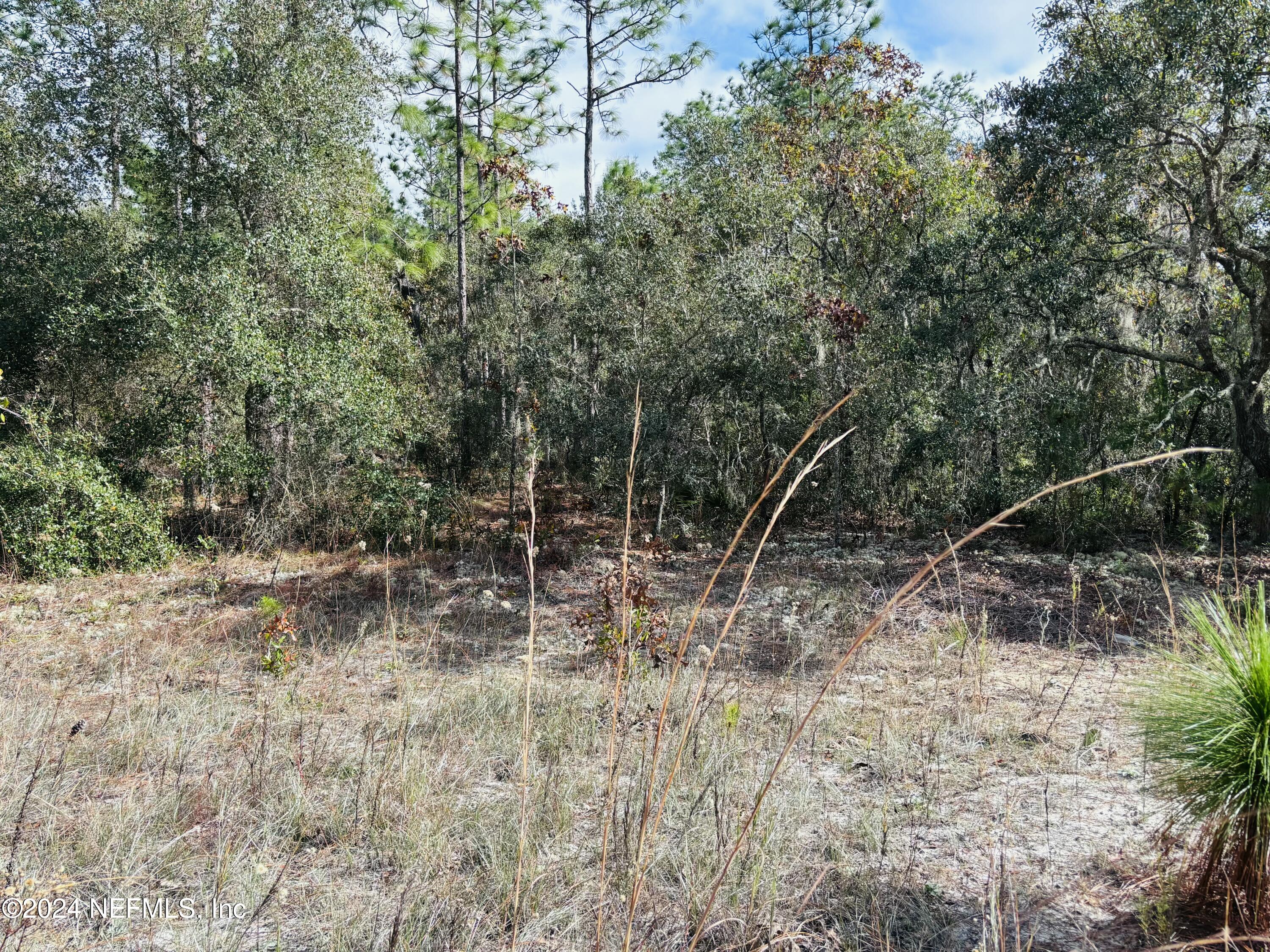 418 Rustic Road Satsuma, FL 32189 - Photo 9 of 13 Front view