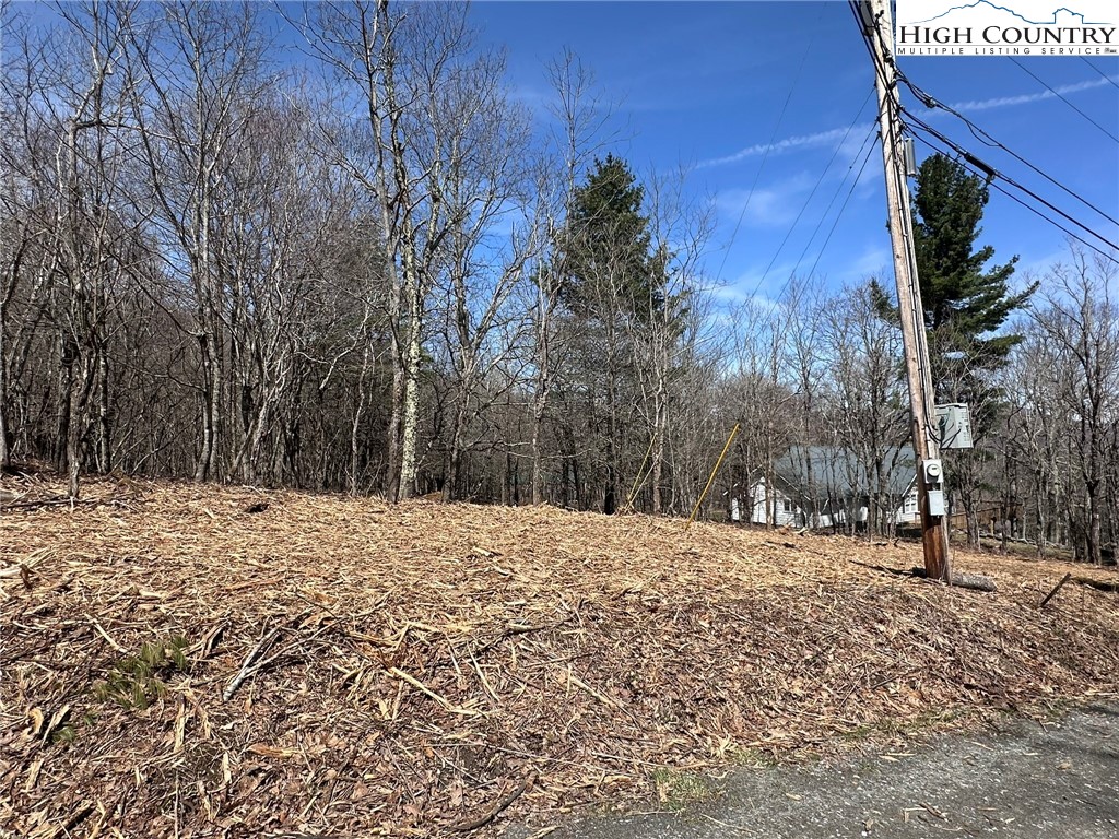 Lot 26 Fire Tower Road Boone, NC 28607 - Photo 3 of 11