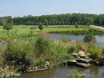 113 Poe Road Dunlap, TN 37327 - Photo 2 of 5 Additional Photo