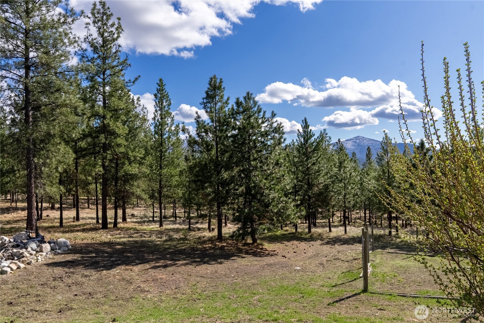 24 Lookout Trail Riverside, WA 98849 - Photo 28 of 39 a view of a yard with a tree