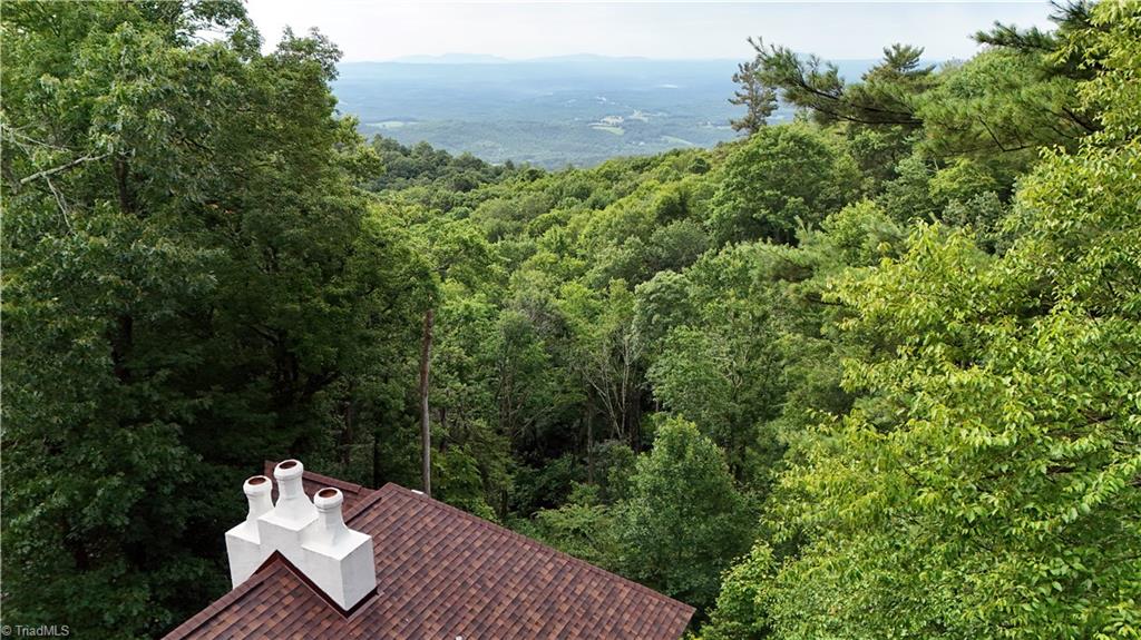 54 Overlook Way Fancy Gap, VA 24328 - Photo 23 of 32