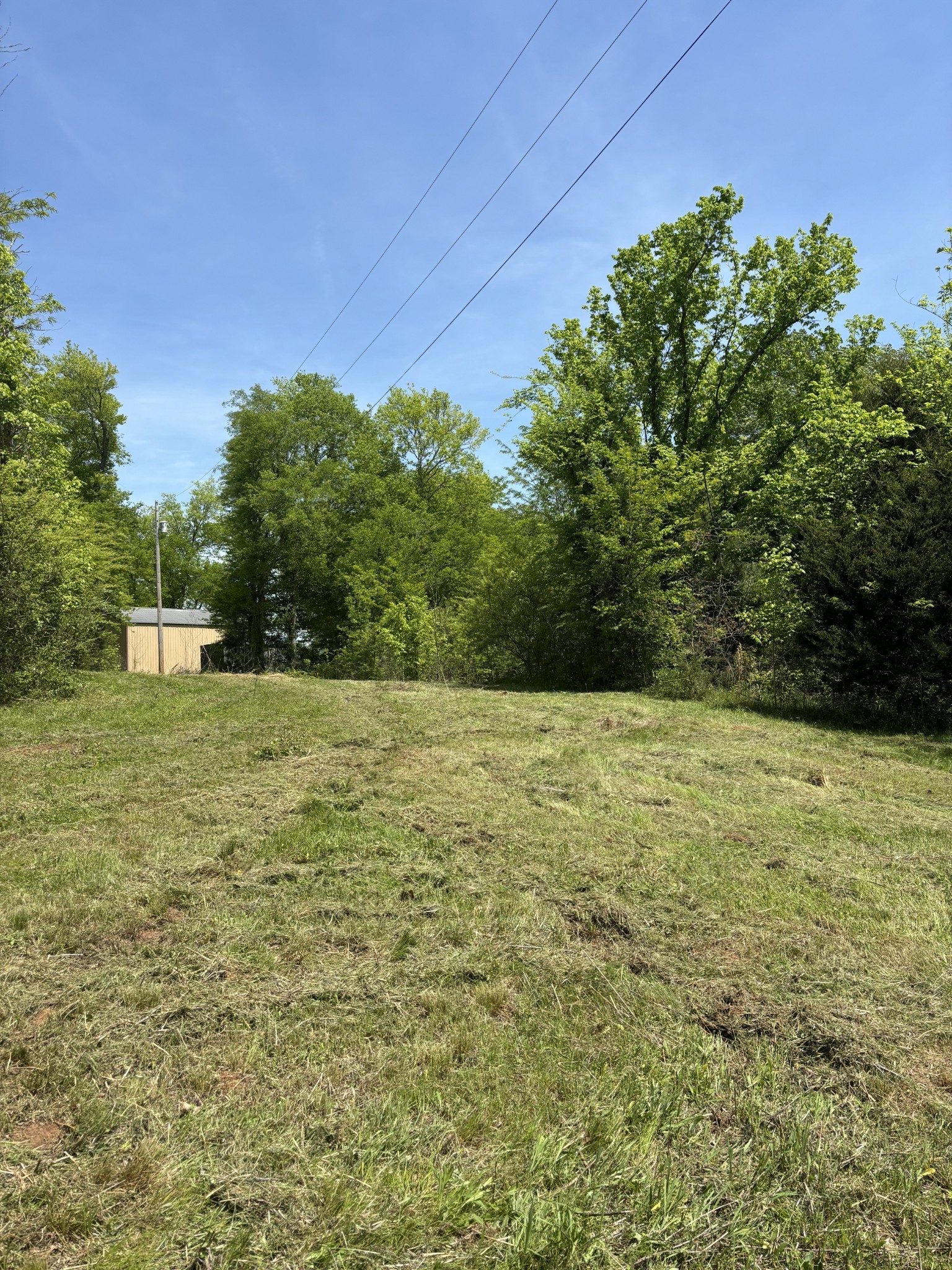 7000 Mt Carmel Road Decaturville, TN 38329 - Photo 34 of 35 Gallery Image 34