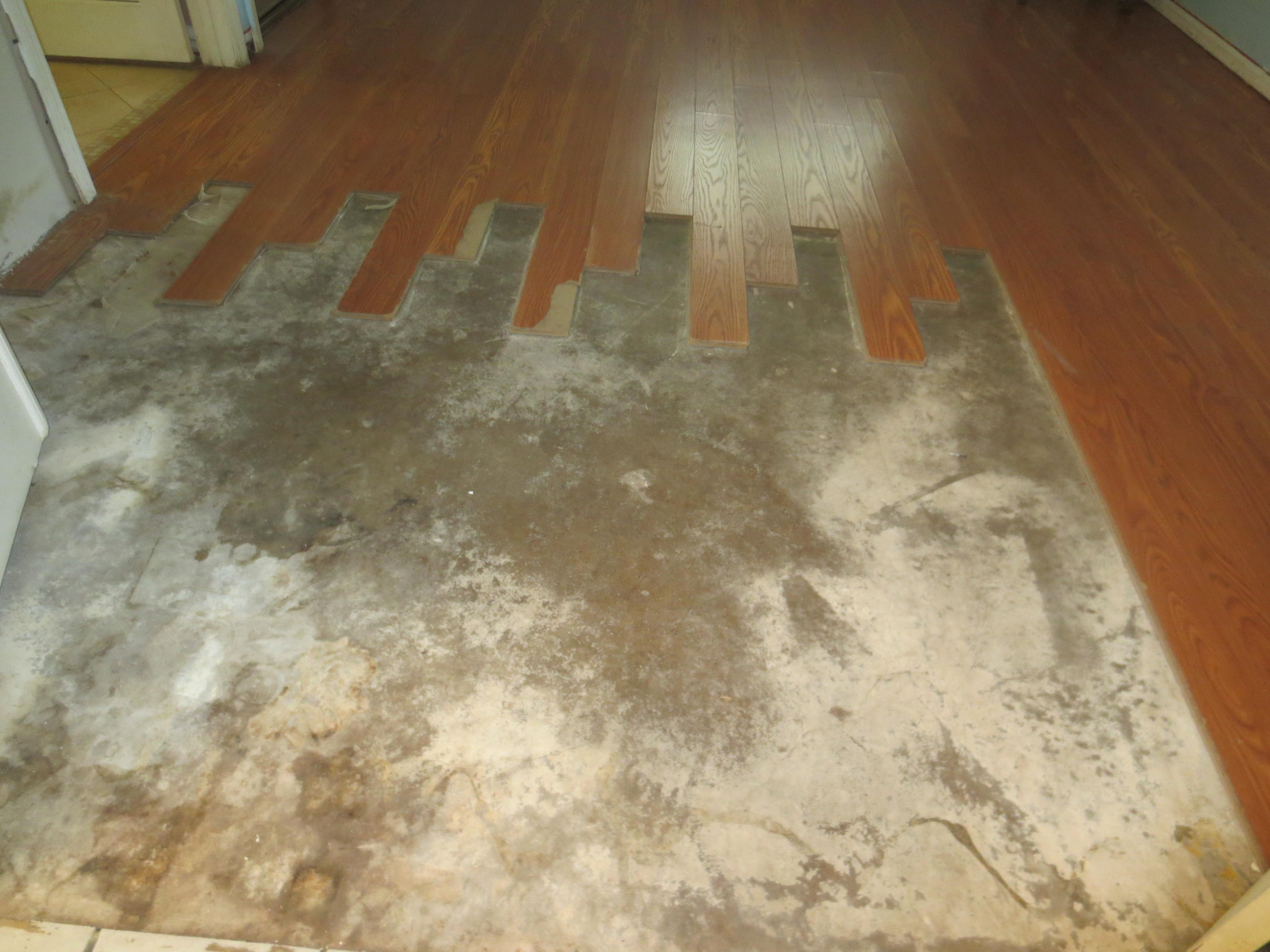 1861 Southeast Greendon Road Port St. Lucie, FL 34952 - Photo 16 of 29 Master bedroom floor