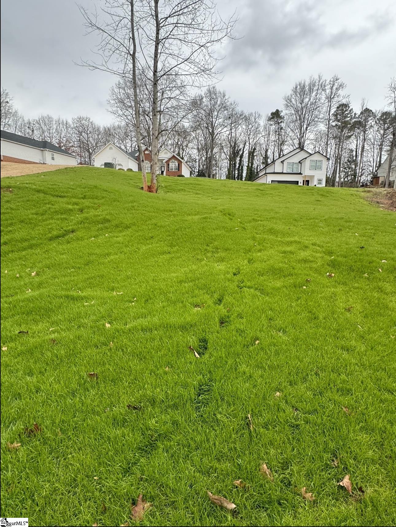 146 Fox Run Circle Greer, SC 29651 - Photo 2 of 4 Gallery Image 2