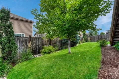 a view of a backyard with a plants