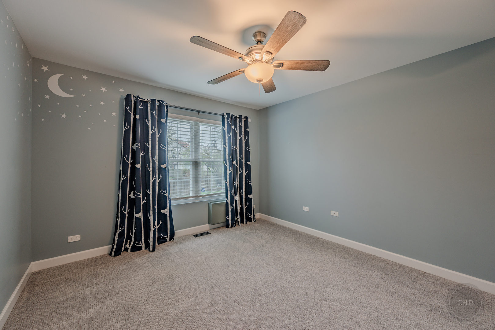 1736 Ranchview Drive Naperville, IL 60565 - Photo 17 of 22