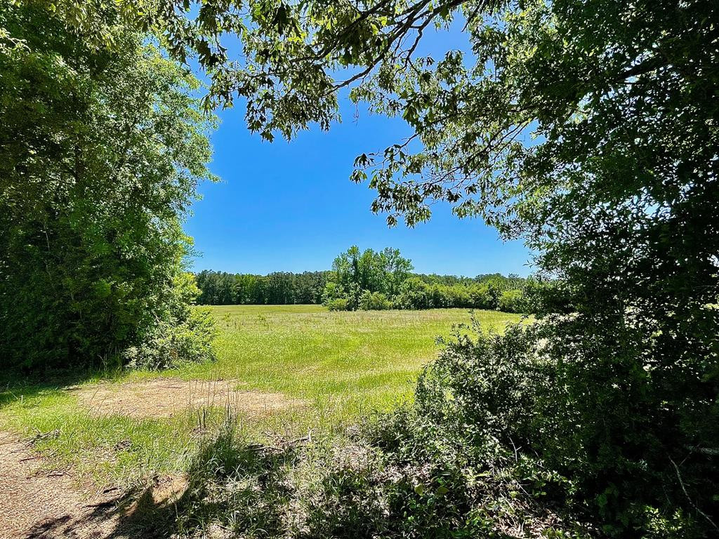 0 Pine Ridge Road Jayess, MS 39641 - Photo 1 of 7 Main View