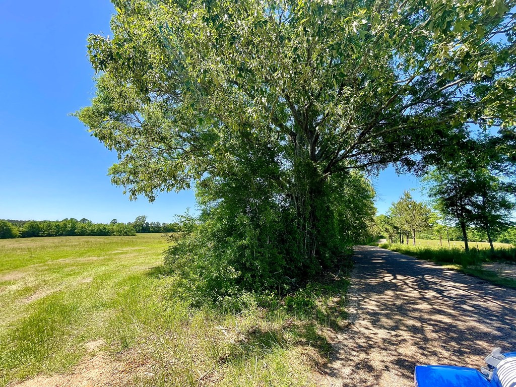0 Pine Ridge Road Jayess, MS 39641 - Photo 2 of 7 Photo 2