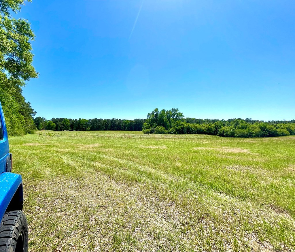0 Pine Ridge Road Jayess, MS 39641 - Photo 6 of 7 Photo 6