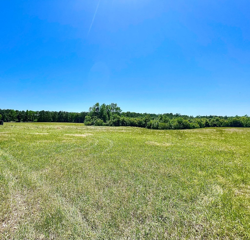 0 Pine Ridge Road Jayess, MS 39641 - Photo 7 of 7 Photo 7