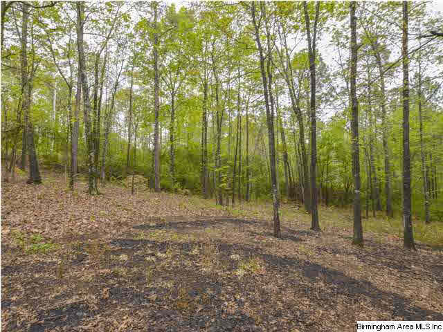 224 Dolphin Circle Alabaster, AL 35007 - Photo 23 of 25