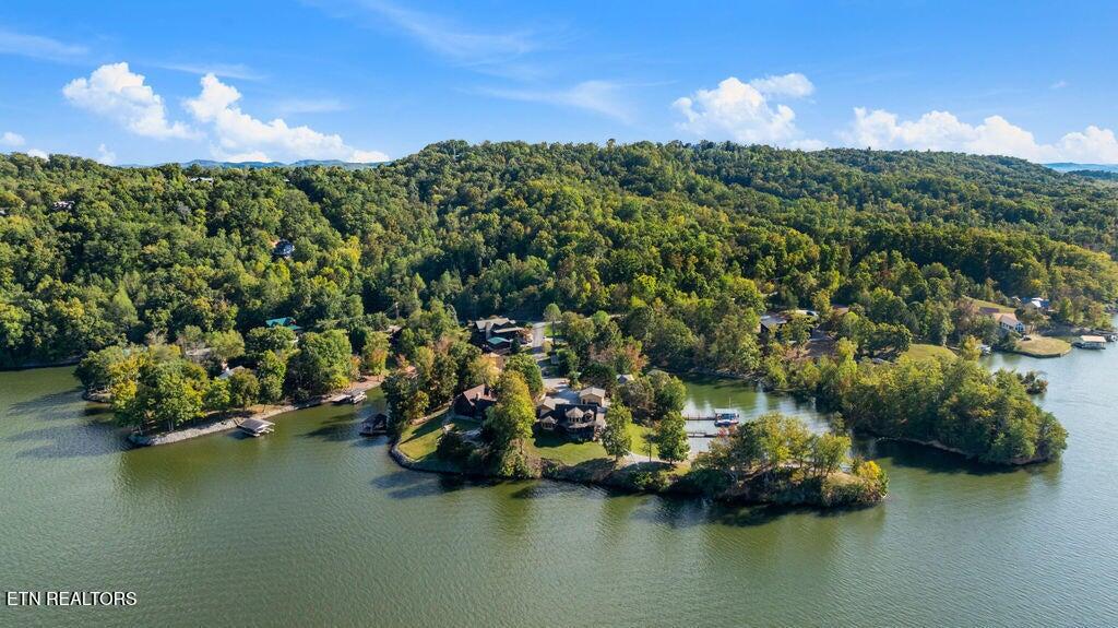 117 Chickasaw Point Ten Mile, TN 37880 - Photo 10 of 60 10