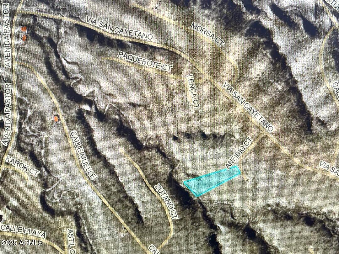 344 Anfibio Court, Unit 82 Rio Rico, AZ 85648 - Photo 2 of 9 a view of a yard with a tree