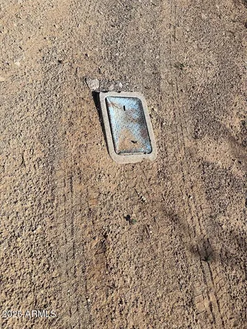 a view of a dry yard