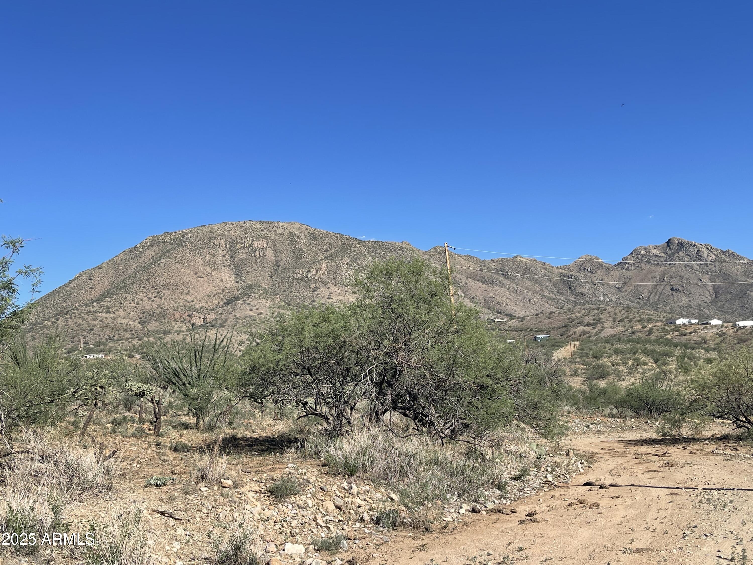 344 Anfibio Court, Unit 82 Rio Rico, AZ 85648 - Photo 6 of 9 a view of a dry yard