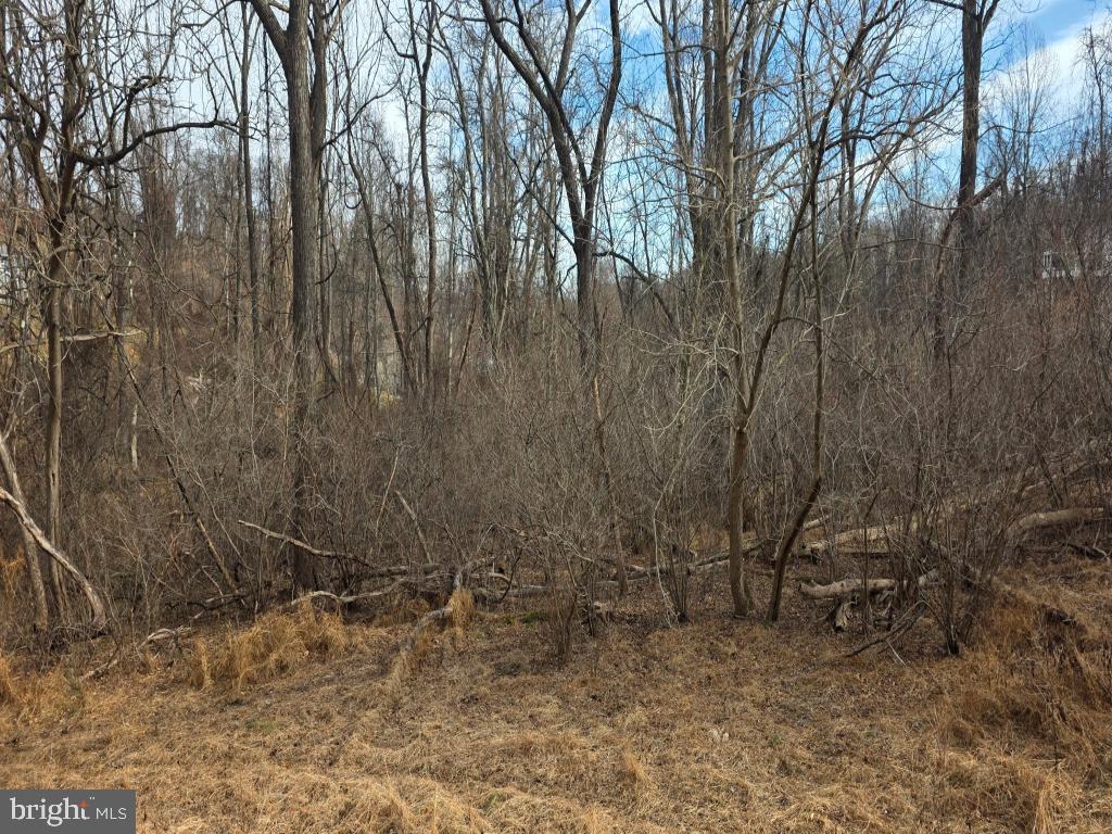 4 Apple Trail Fairfield, PA 17320 - Photo 4 of 5 a view of backyard with tall trees