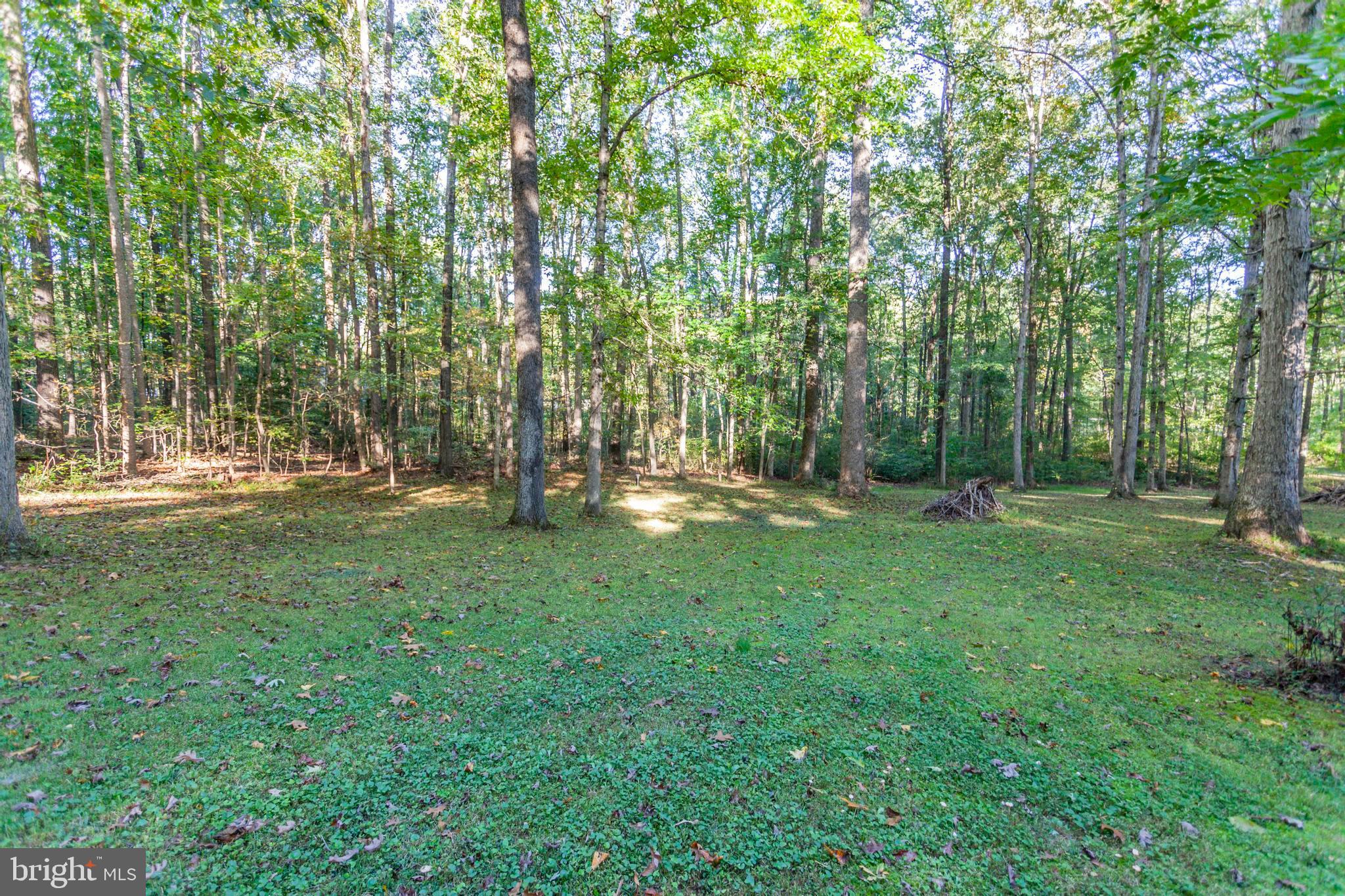 943 Poplar Road Fredericksburg, VA 22406 - Photo 48 of 66 Gallery Image 48