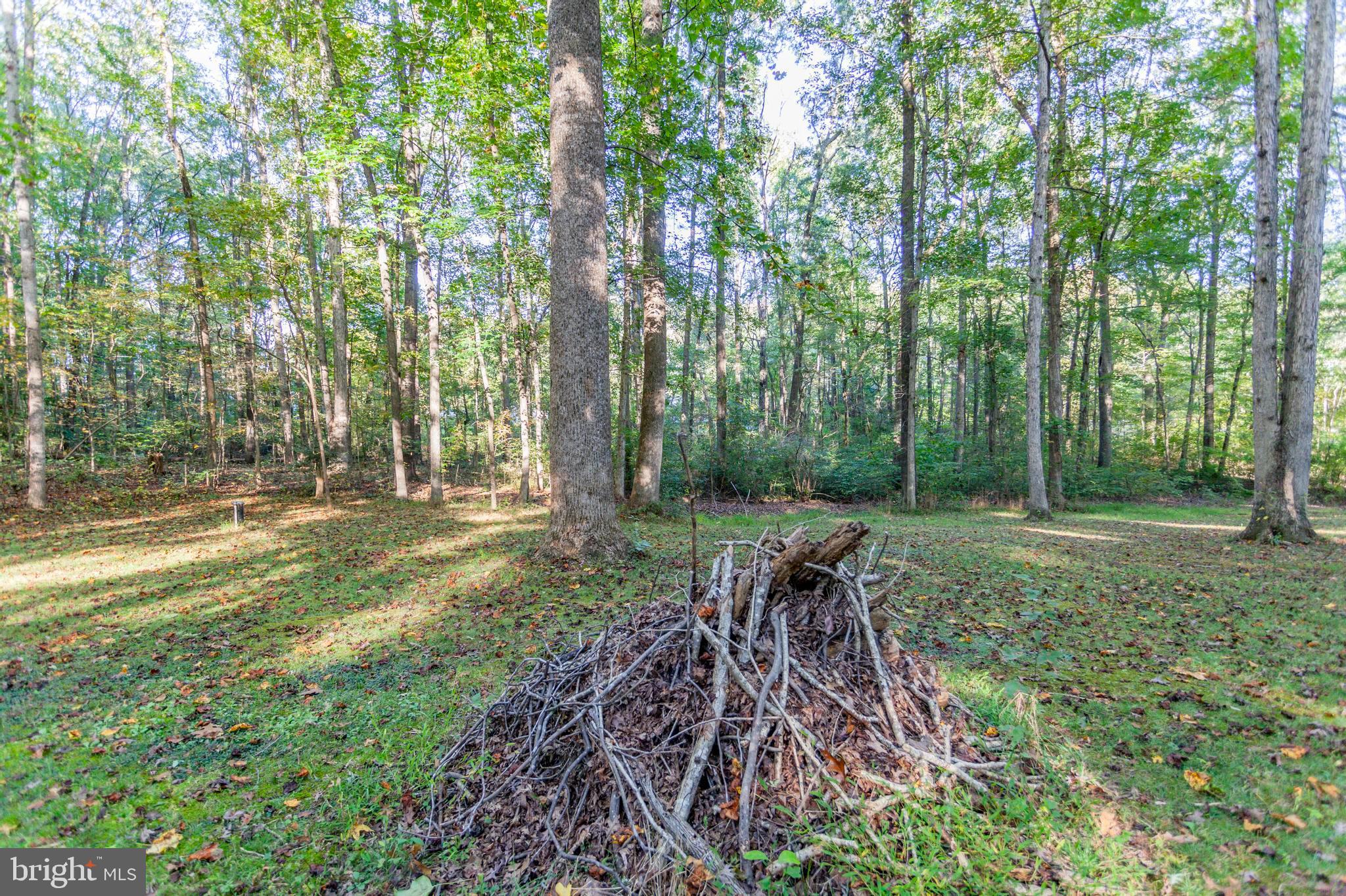 943 Poplar Road Fredericksburg, VA 22406 - Photo 49 of 66 Gallery Image 49