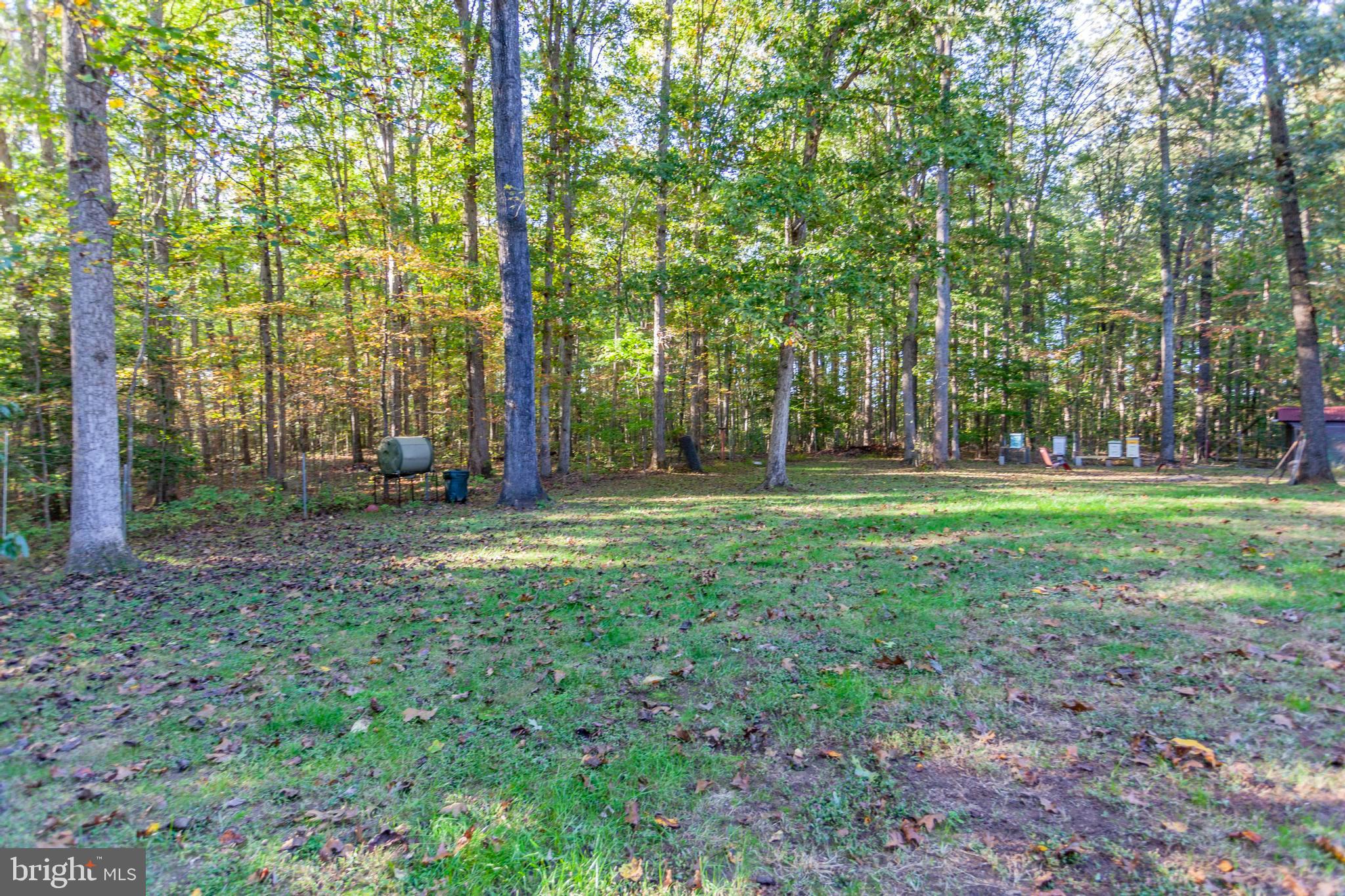 943 Poplar Road Fredericksburg, VA 22406 - Photo 59 of 66 Gallery Image 59