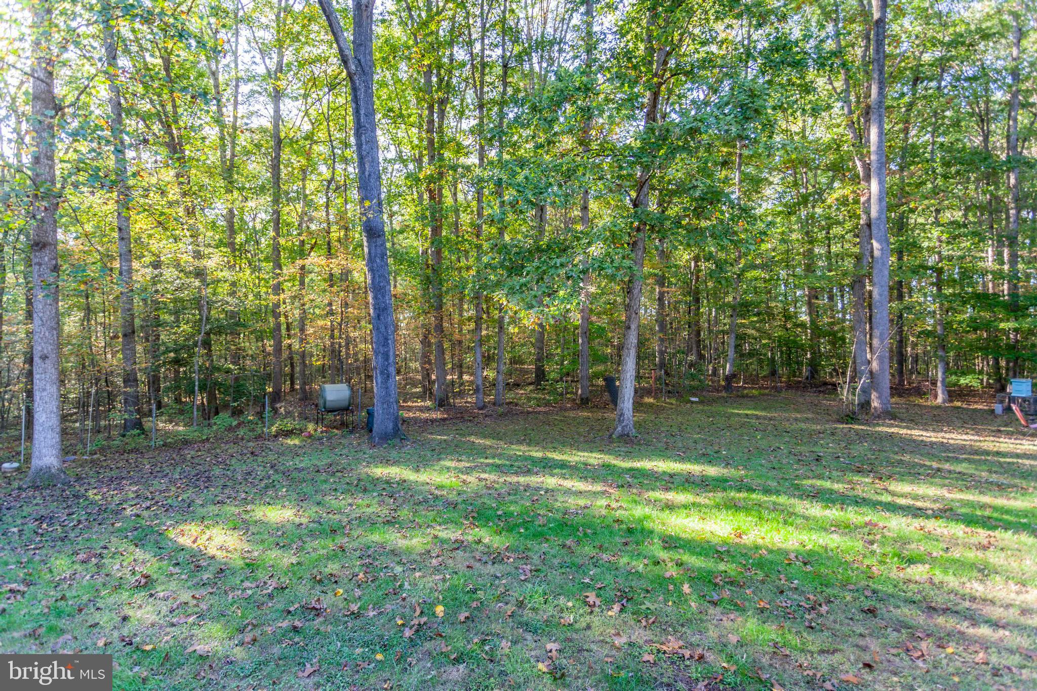 943 Poplar Road Fredericksburg, VA 22406 - Photo 62 of 66 Gallery Image 62