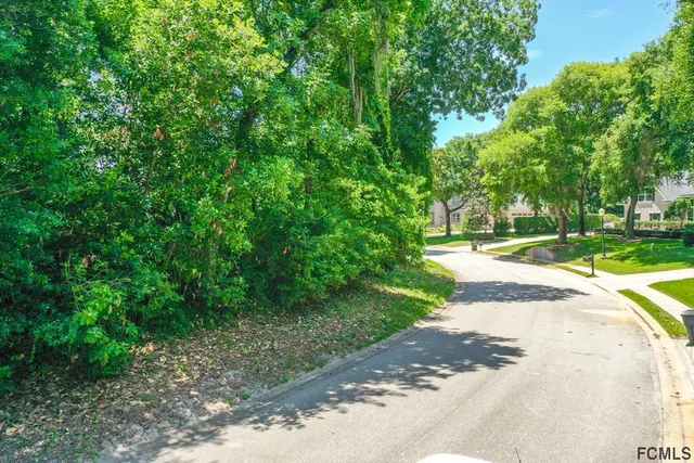 a view of road with grass and trees