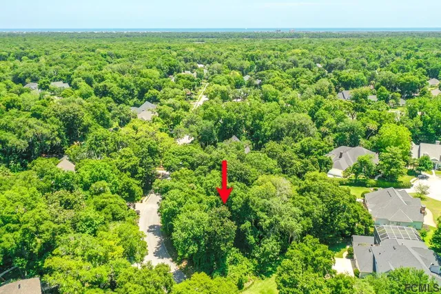 an aerial view of residential houses with outdoor space and trees