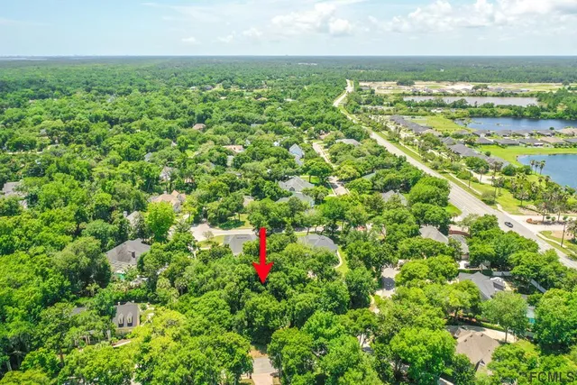 a view of a area with lots of flowers