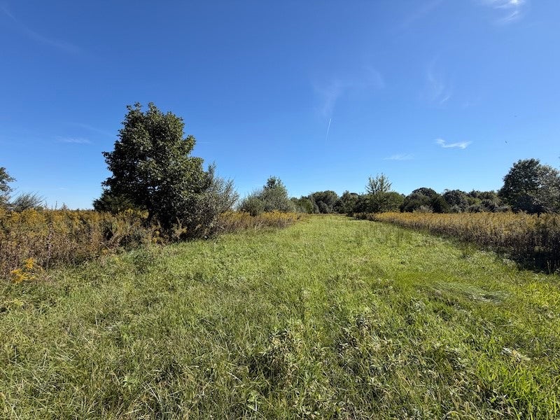 14207 200 East Road Fithian, IL 61844 - Photo 93 of 100 Gallery Image 93