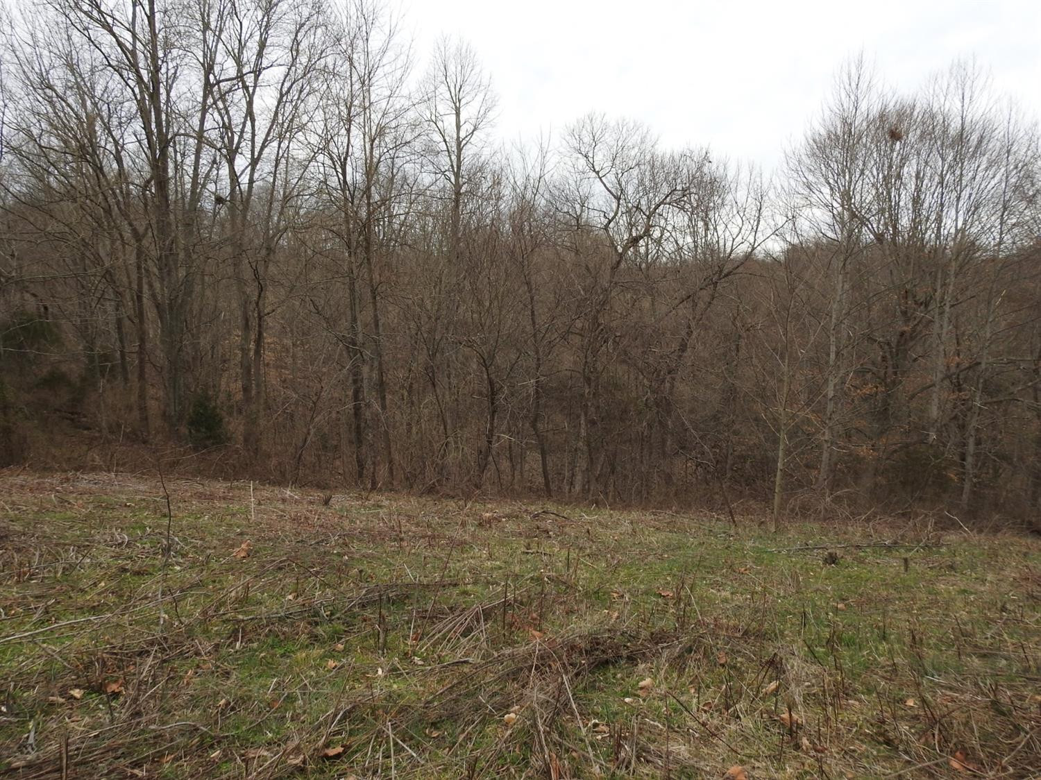 767 Jack Black Road Lancaster, KY 40444 - Photo 16 of 36 Photo 16