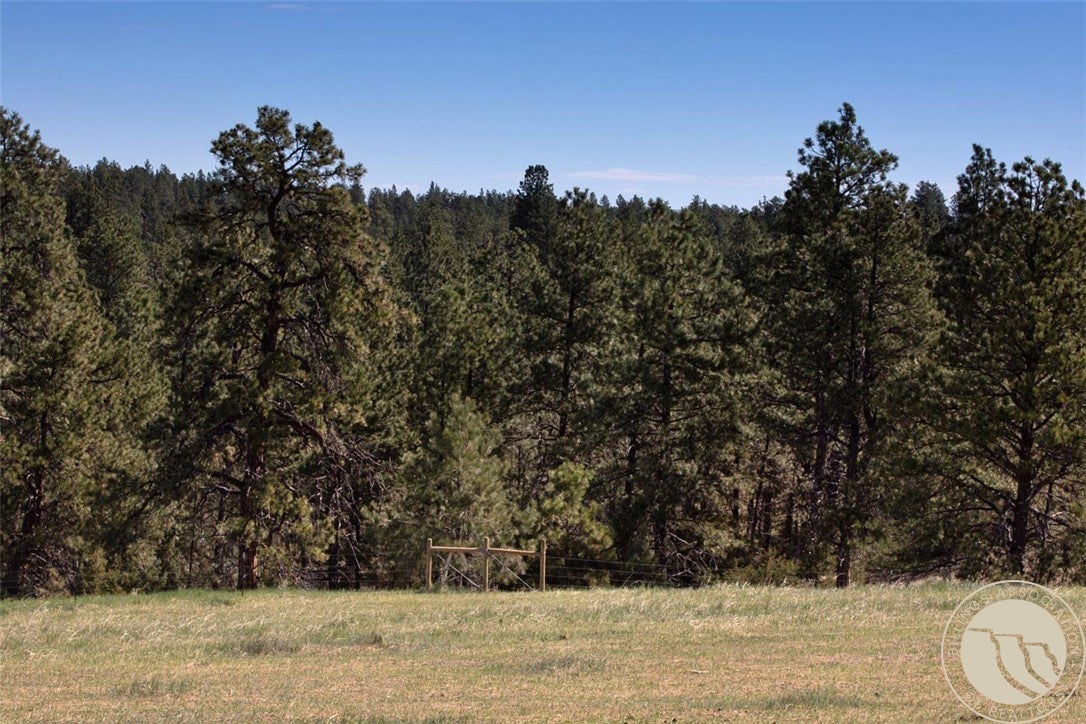 Lot 2 Shane Ridge Road Columbus, MT 59019 - Photo 10 of 20 A beautiful blend of open meadow trailing to mature pine trees showing the varied terrain of this lot.