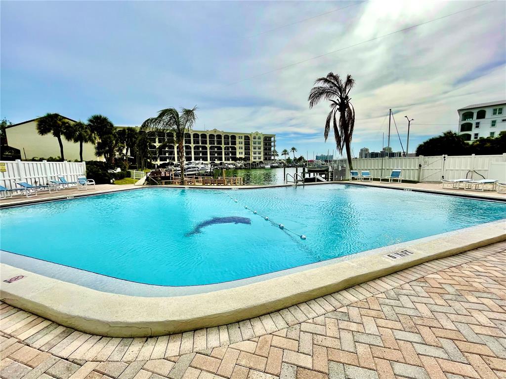 255 Dolphin Point, Unit 809 Clearwater, FL 33767 - Photo 18 of 42 a view of a swimming pool with outdoor seating