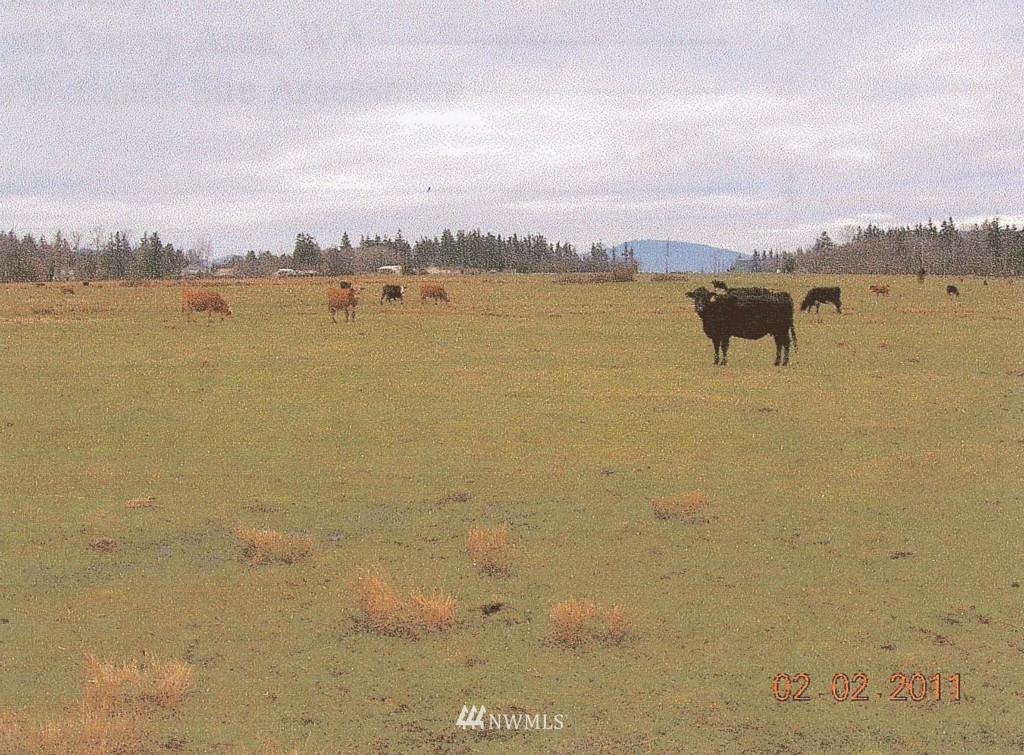 13757 Josh Wilson Road Mount Vernon, WA 98273 - Photo 1 of 1 Gallery Image 1