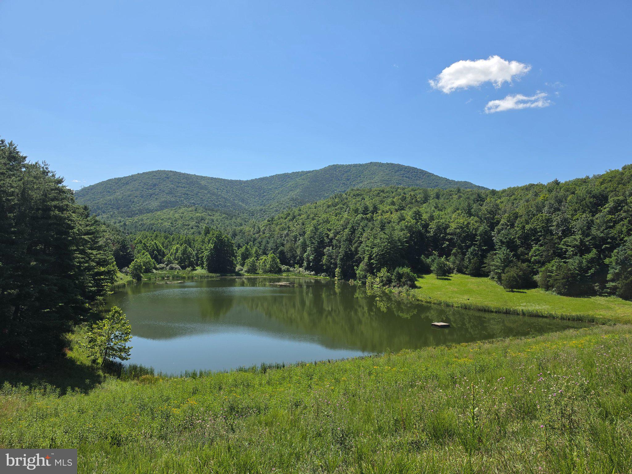Lot 75 Hunters Rdg Trail Milam, WV 26838 - Photo 2 of 49 Private Pond Access