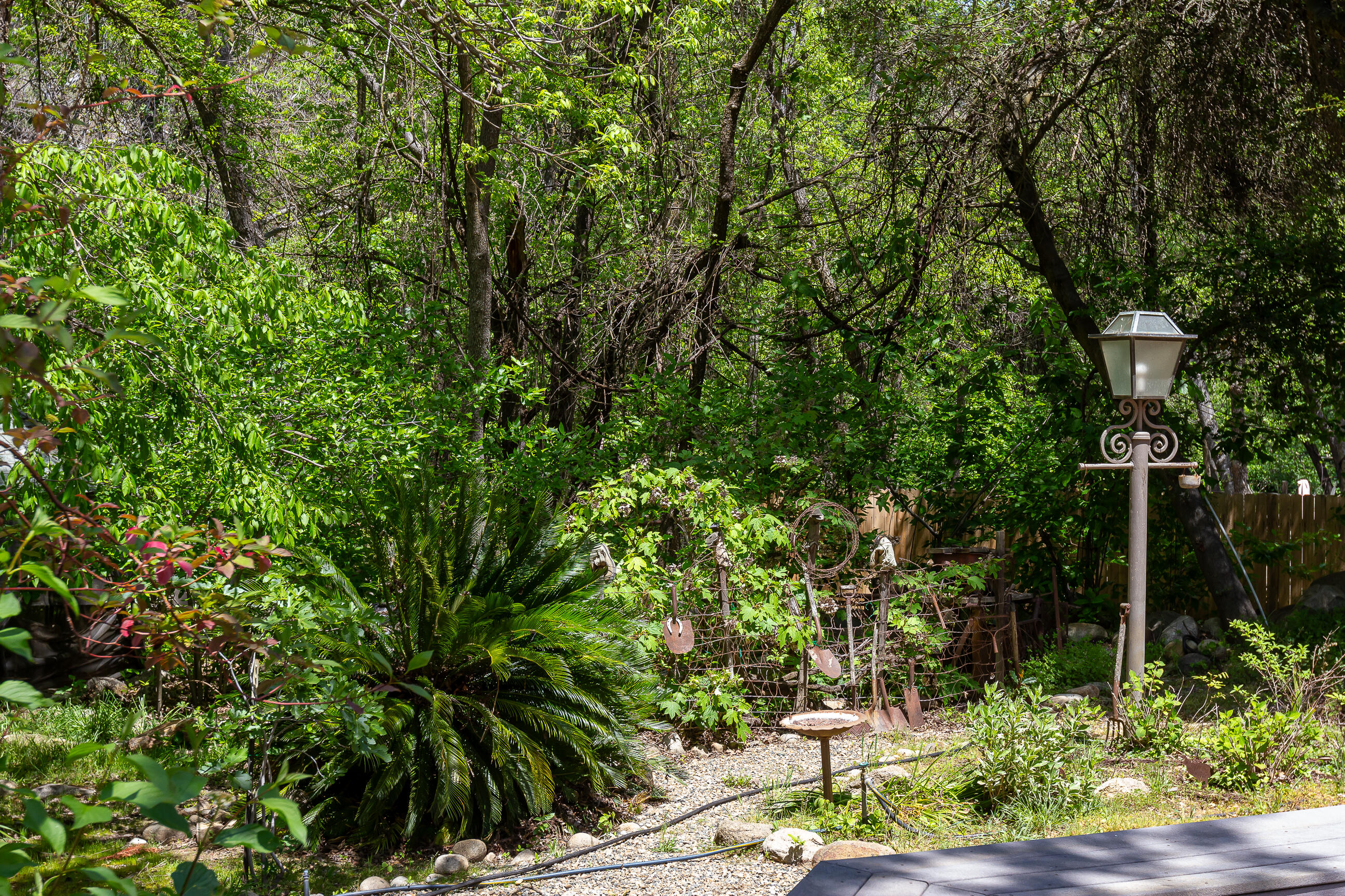 43195 South Fork Drive Three Rivers, CA 93271 - Photo 60 of 70 IMG_3334