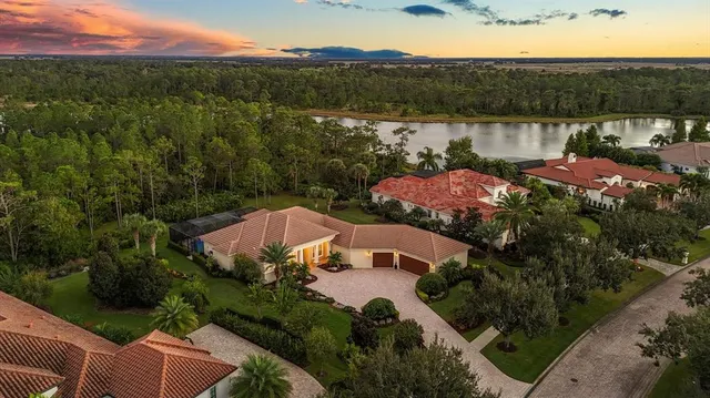 a view of a park with plants and trees