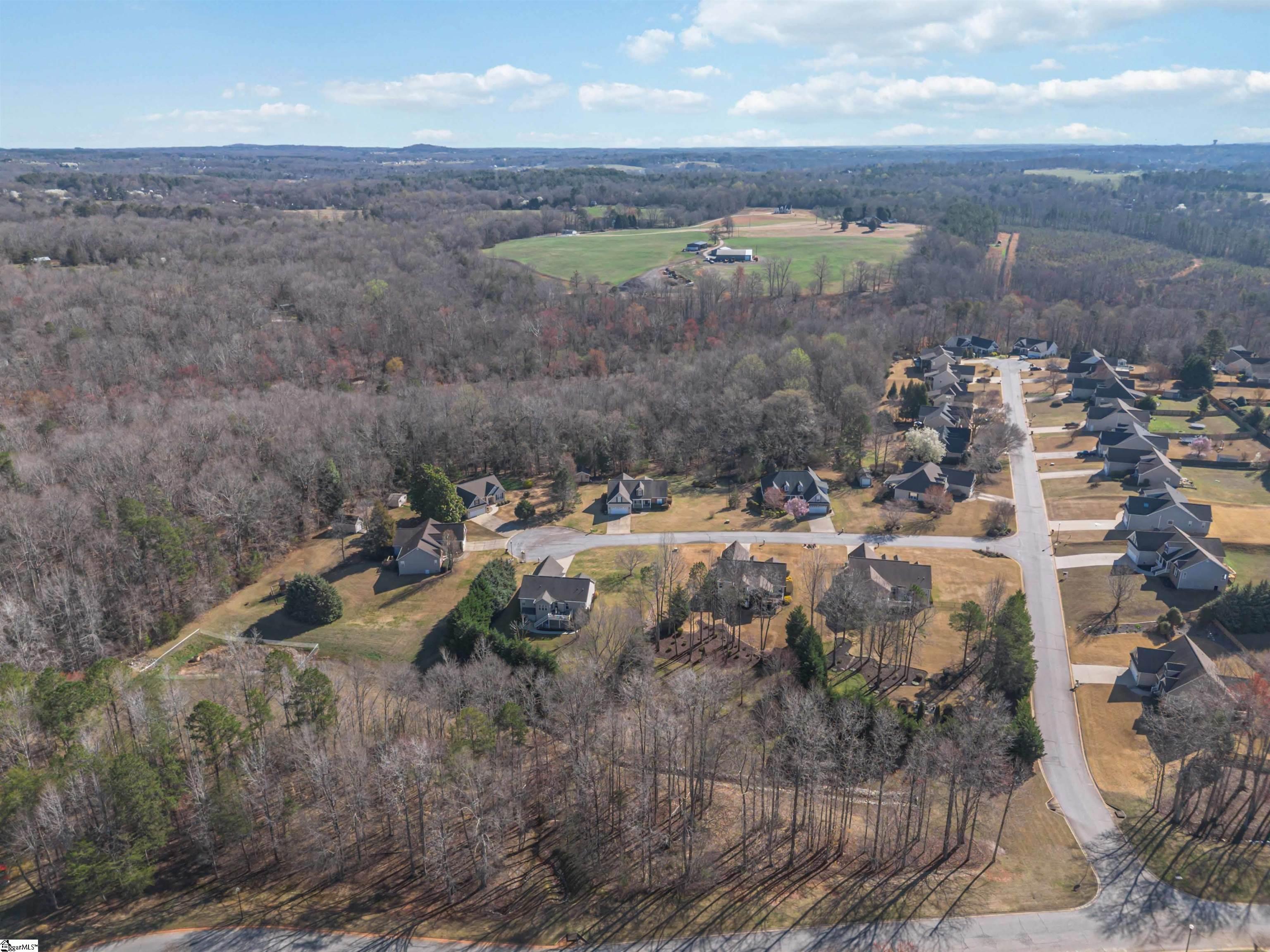 10 Chasie Lane Greer, SC 29651 - Photo 40 of 46