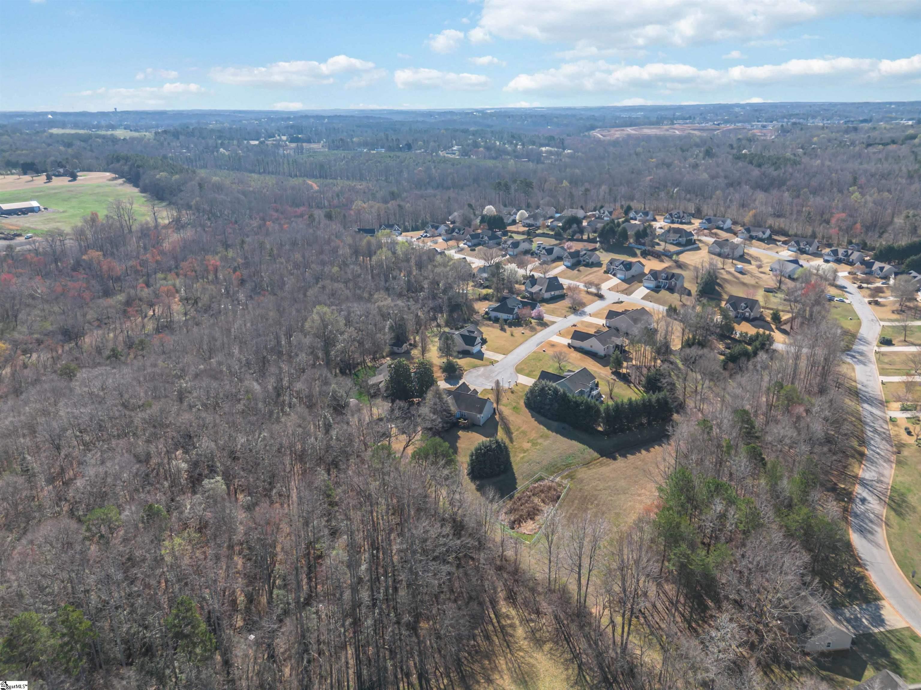 10 Chasie Lane Greer, SC 29651 - Photo 41 of 46