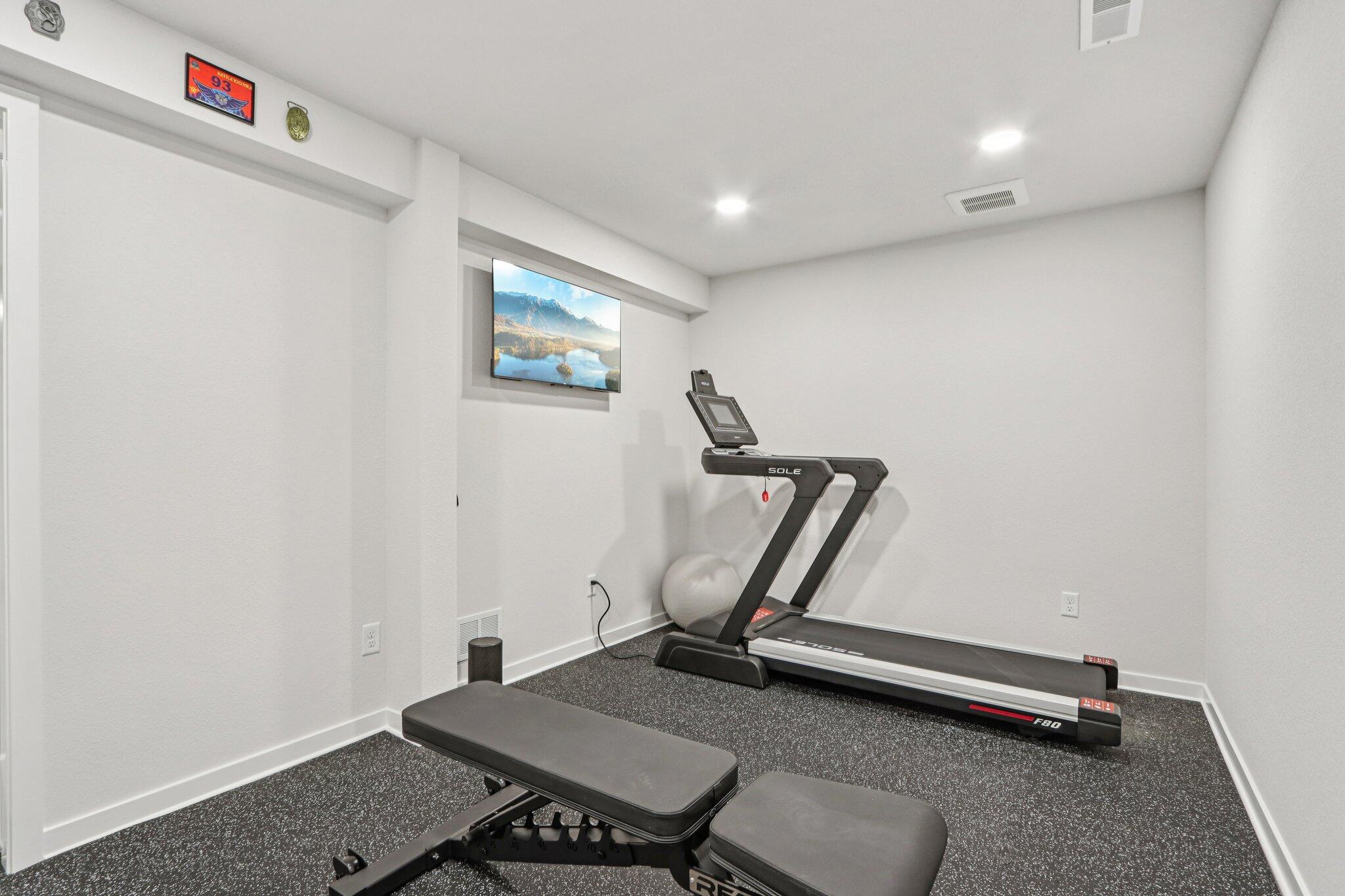 532 Wild Oak Road Hartland, WI 53029 - Photo 36 of 48 Home Gym pic2