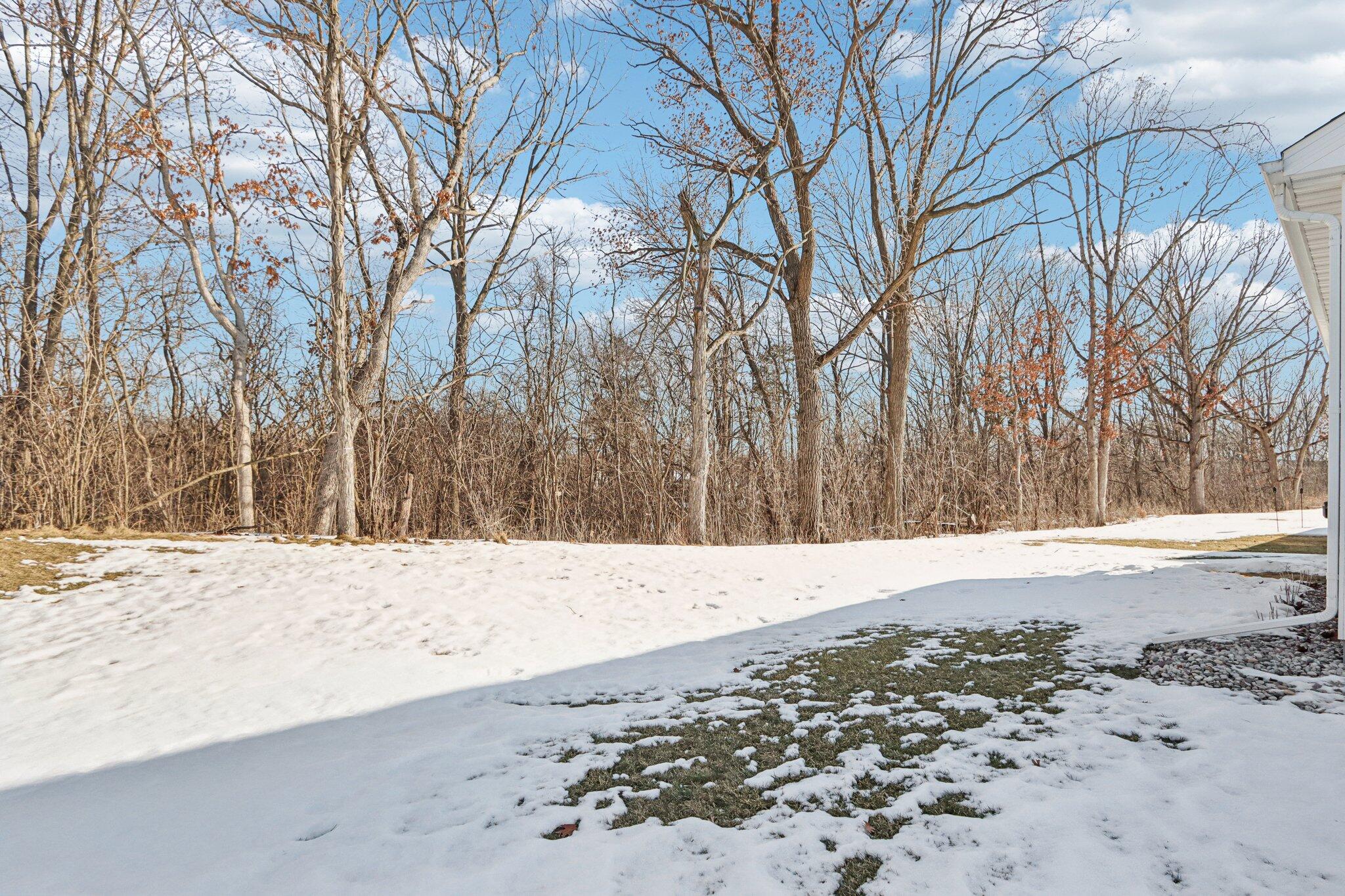 532 Wild Oak Road Hartland, WI 53029 - Photo 43 of 48 Backyard w/ Wooded View