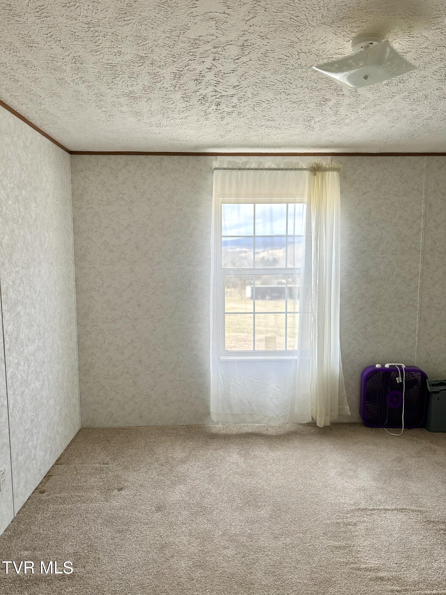 194 Twin View Lane Rutledge, TN 37861 - Photo 11 of 14 hall bedroom