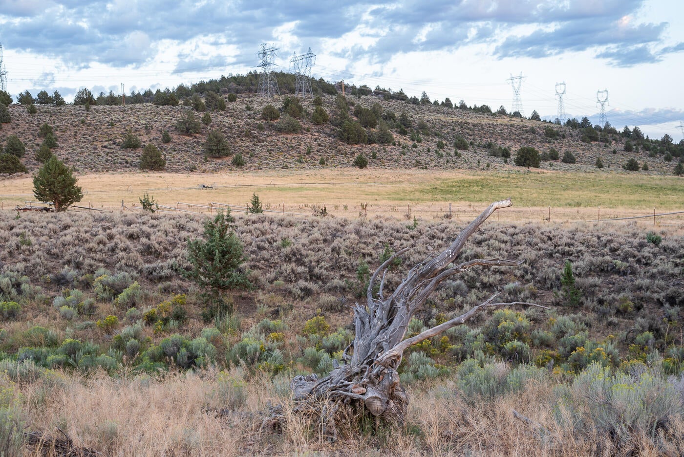 44220 Highway 140 Beatty, OR 97621 - Photo 75 of 101 Hwy 140_Chad-68