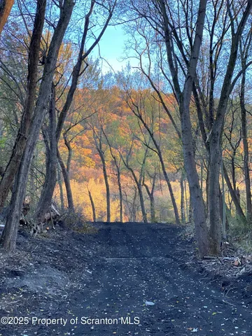 $25,000 | Lot 54 Garden Drive, Hunlock Creek, PA 18621