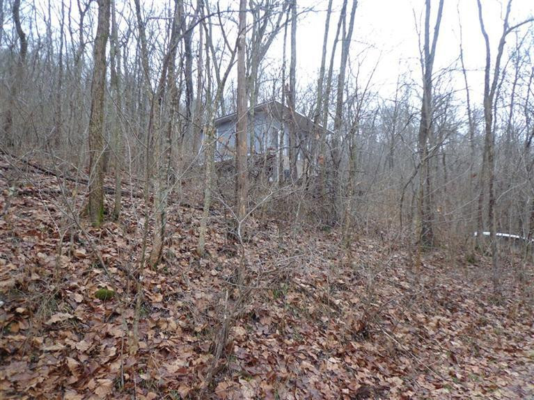 3337 Chaney Road Brooksville, KY 41004 - Photo 10 of 30 Gallery Image 10