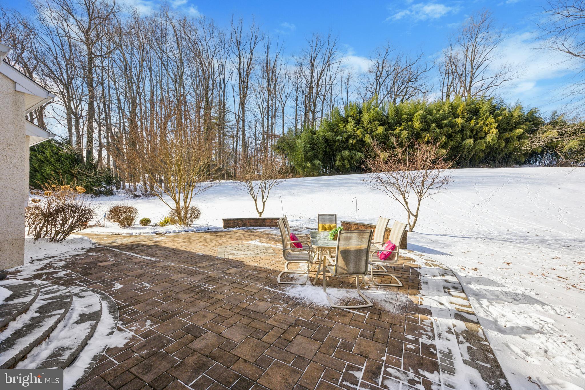 100 Parkview Circle Media, PA 19063 - Photo 15 of 63 Private views of mature Bamboos