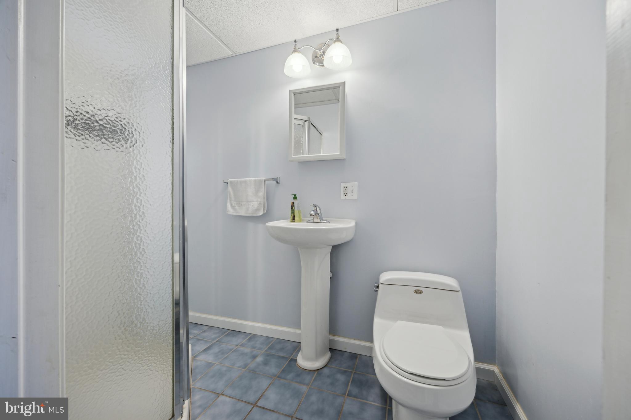 100 Parkview Circle Media, PA 19063 - Photo 55 of 63 Bathroom 3